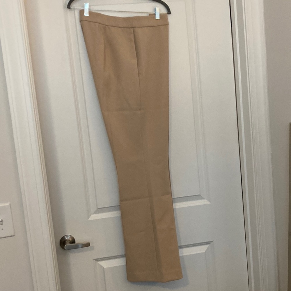 Ann Taylor Tan Dress Trousers